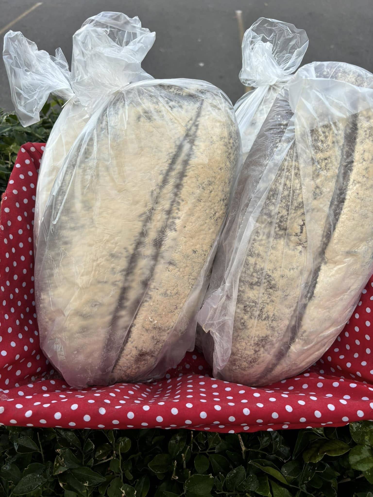 Fresh from the oven